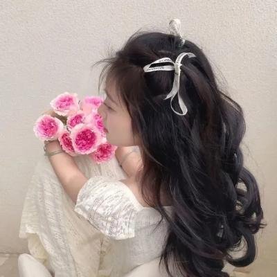 精灵高中:穿越惊幻蜕变封面